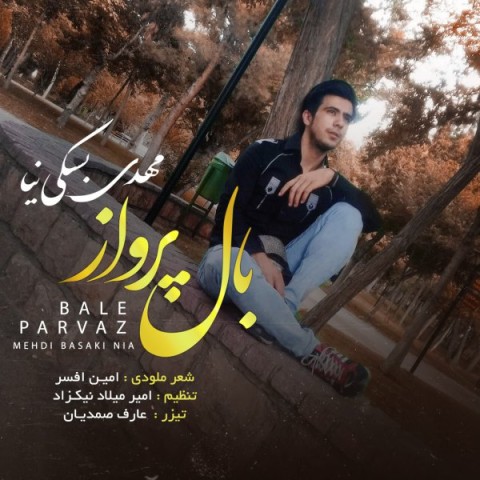 دانلود آهنگ مهدی بسکی نیا بال پرواز